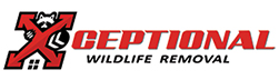 Marietta Wildlife Removal